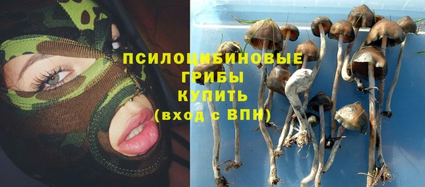 ешки Верея